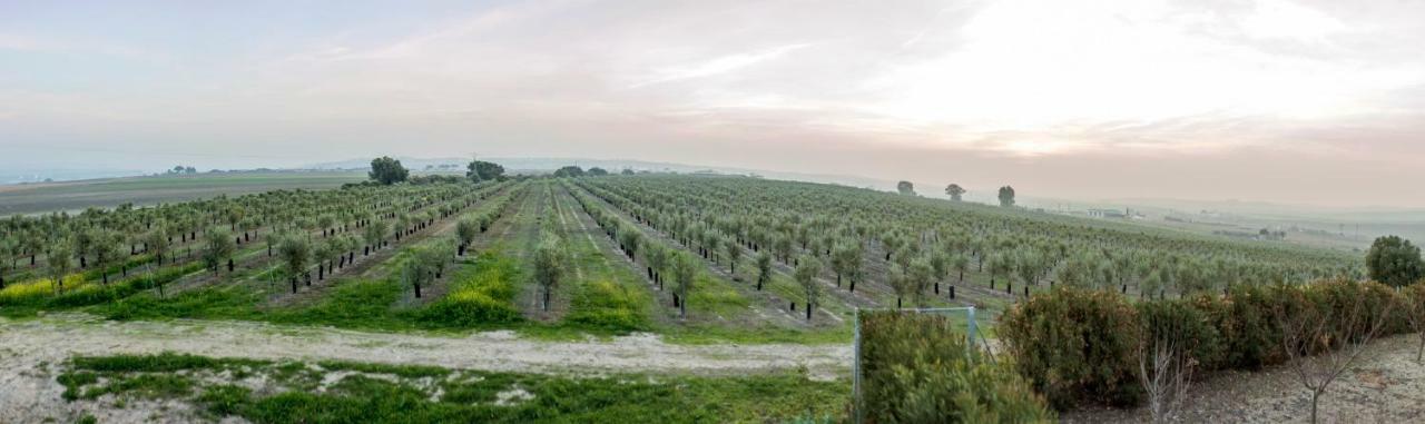 Vivienda Rural Olivar De San Telmo อาร์กอส เดลา ฟรอนเตรา ภายนอก รูปภาพ