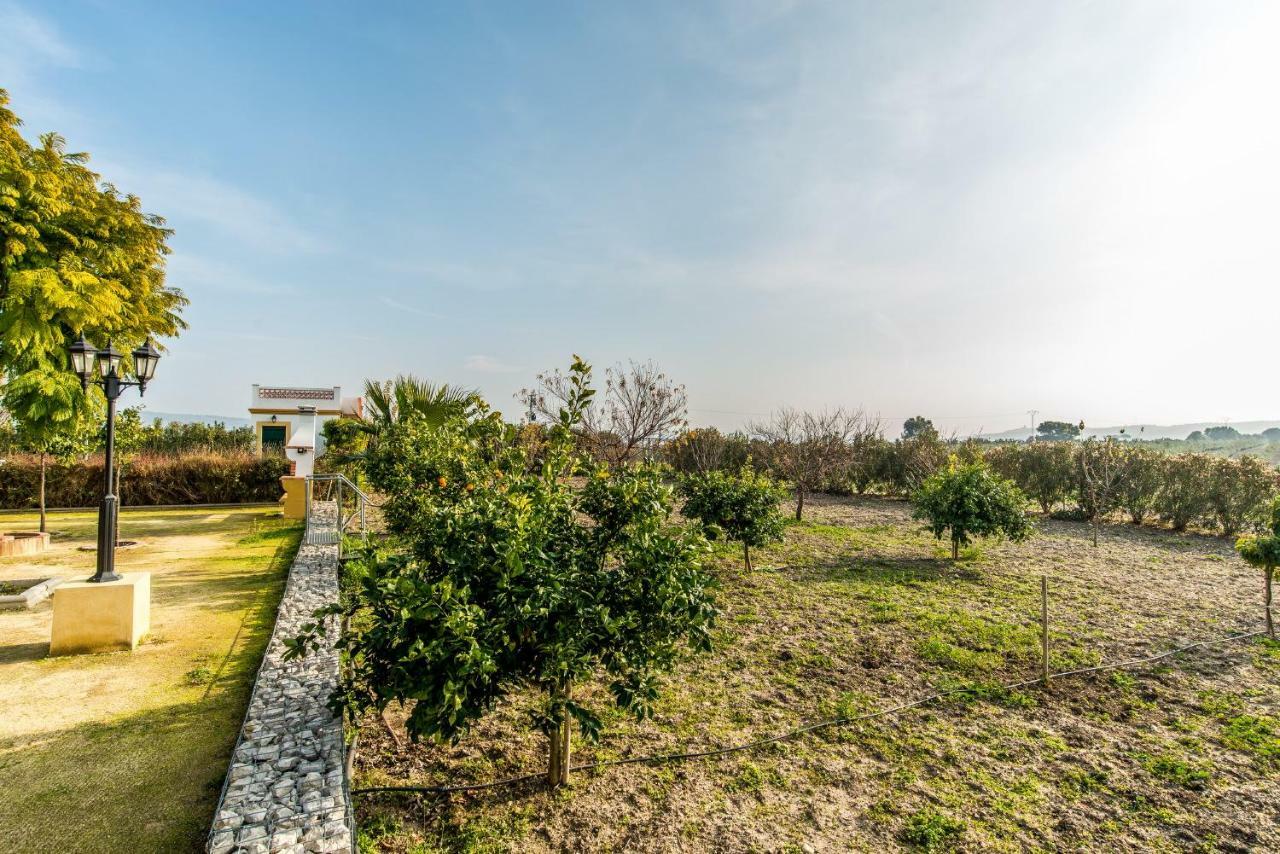 Vivienda Rural Olivar De San Telmo อาร์กอส เดลา ฟรอนเตรา ภายนอก รูปภาพ
