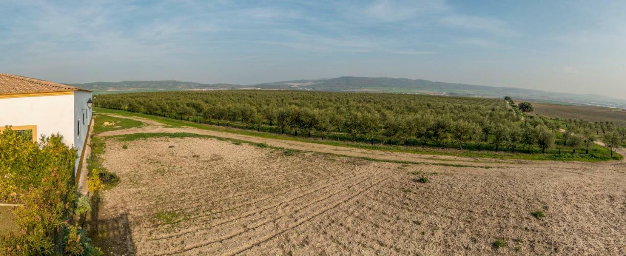 Vivienda Rural Olivar De San Telmo อาร์กอส เดลา ฟรอนเตรา ภายนอก รูปภาพ